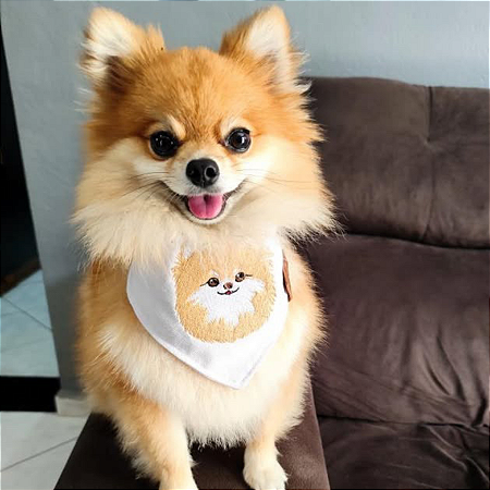 Monte uma bandana com o rosto personalizado do seu pet