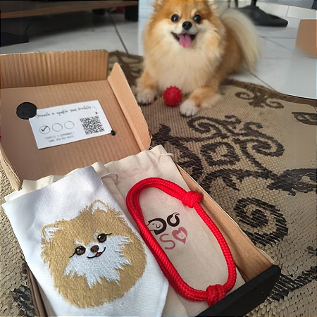 Super Shinebox bandana com rosto do seu pet e colar
