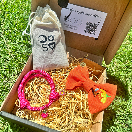 Super Shinebox Colar rosa, lacinho de abelha e berloques surpresa