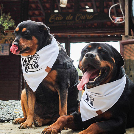 Bandanas Pet simples com logo DTF/Estampa em Atacado - Varias cores