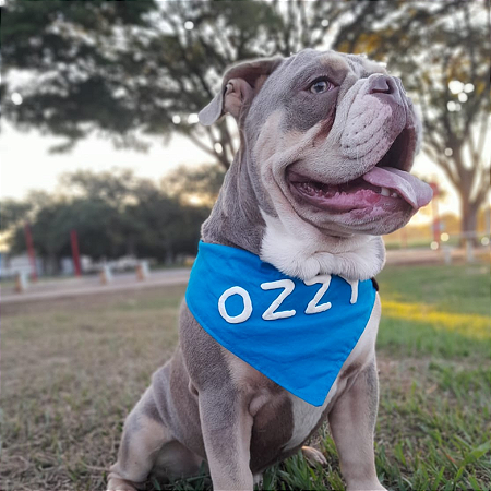 Bandana Azul com nome 3D