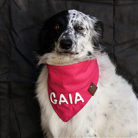 Bandana Rosa com nome 3D
