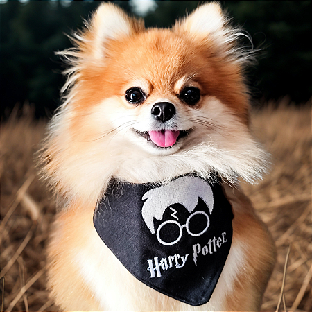 Bandana Harry Potter