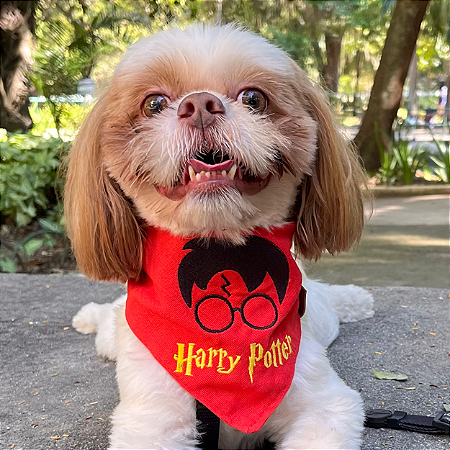 Bandana Harry Potter