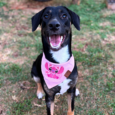 Bandana Angel