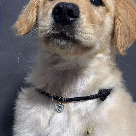 Colar paracord preto Pet Ajustável com berloque surpresa