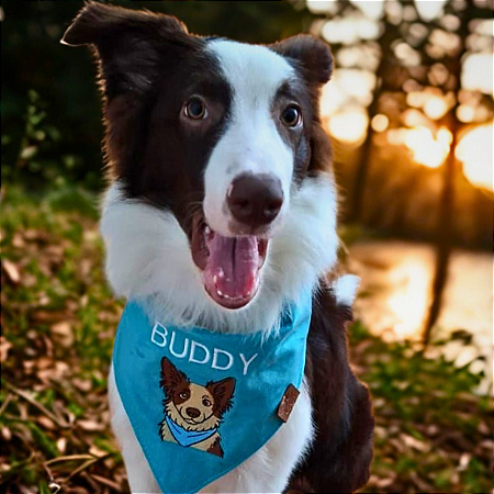 Monte uma bandana com o rosto e nome personalizado do seu pet