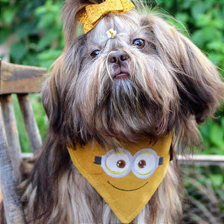 Bandana minions