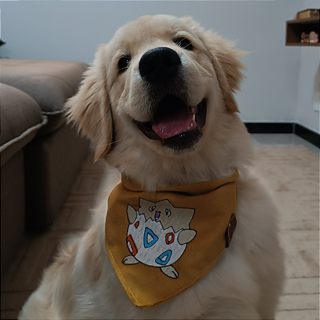 Bandana Togepi