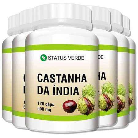 6 Potes Castanha da India Kit 720 Cáps - Status Verde