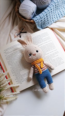 Frederico, O coelho - amigurumi.