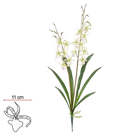 H.Orquidea Spider C/Coat C/Folha X13 (Branco Verde) 85cm (Florarte)