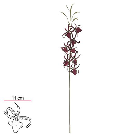 H.ORQUIDEA SPIDER C/COAT X8 (PURPURA) 72cm (FLORARTE)