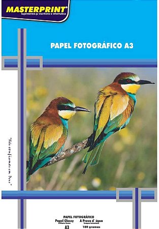 PAPEL FOTO MASTERPRINT 180G A3 50FLS