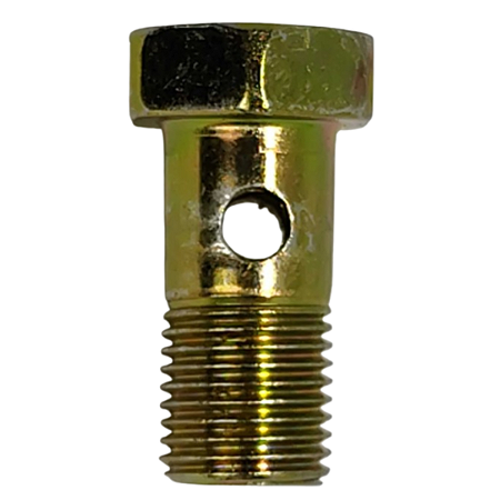 Parafuso Oco Simples 10mm M10x1,0mm 2 Furos