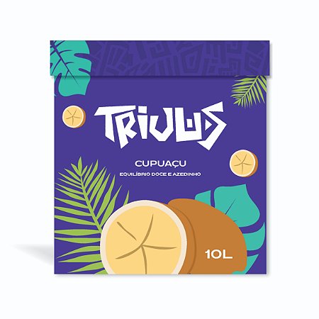 CUPUAÇU - CAIXA 10L/6,2K