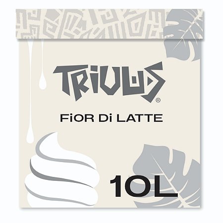 SORVETE FIOR DI LATTE - CAIXA 10L/6,2K