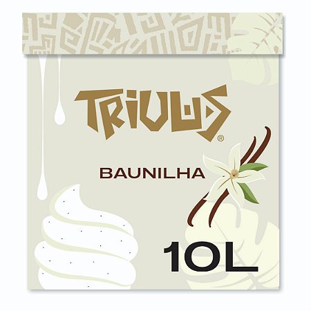 SORVETE BAUNILHA - CAIXA 10L/6,2K