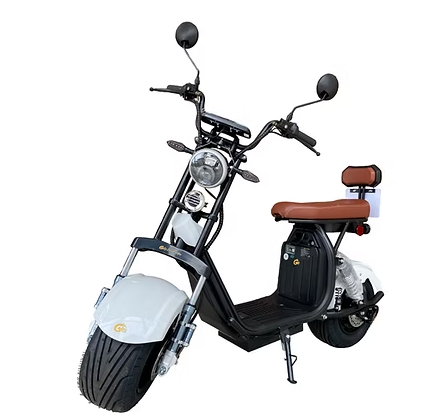 Autopropelido Scooter elétrica X11 Mini 1000W 60V 20A