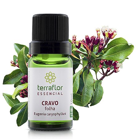 Óleo essencial Terra Flor - Cravo folha 10ml
