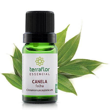 Óleo essencial Terra Flor - Canela folha 10ml