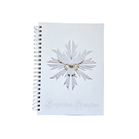 Caderno Universitario 96 folhas ES