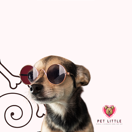 ÓCULOS DE SOL PET STYLE