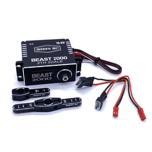 Beast 2000 Servo Brushless de Alta Velocidade e Alto Torque em Escala 1/5 com Braços de Alumínio