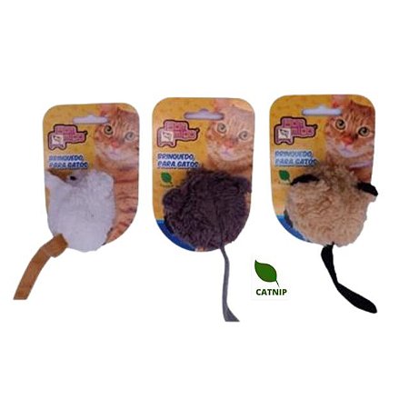 Cat Ratinho LLaga com Catnip