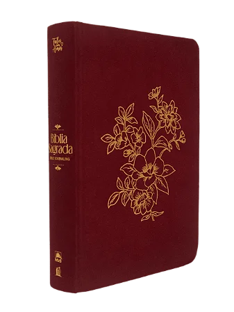 Bíblia NVI Bible Journaling