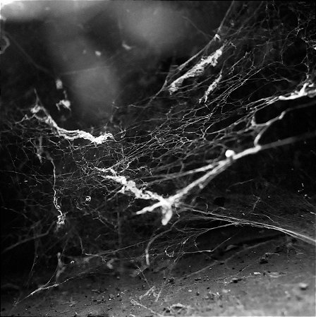 Raptus: (Portugal) Antiphilanthropy / Fragments - CD