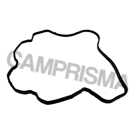 Junta Do Coletor De Admissão Compatível Fiat Ducato / Citroen Jumper / Peugeot Boxer