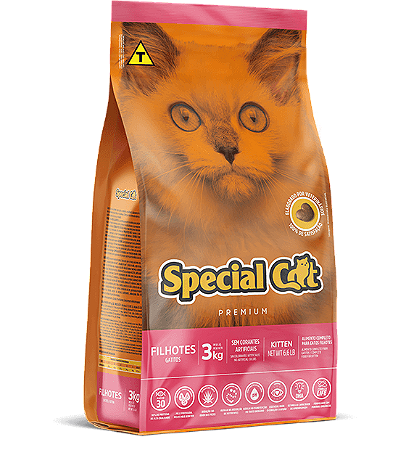 Special Cat - Filhotes