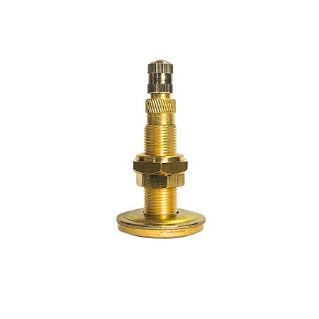 ST10234-221A Válvula Atarraxante P/Pneu com Câmara 56mm