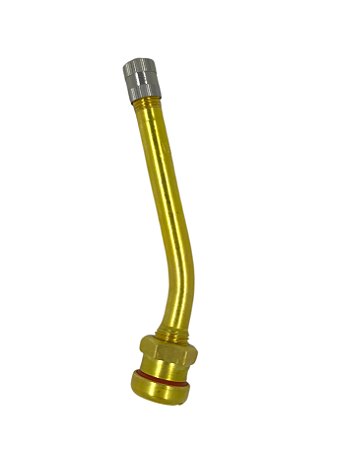 ST10132-34561 Válvula para pneus sem câmara