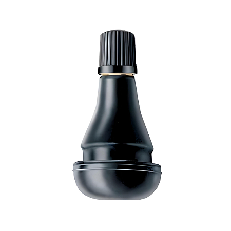 ST10250-412 Válvula para pneu de motocicletas sem câmara TR-412 Steels