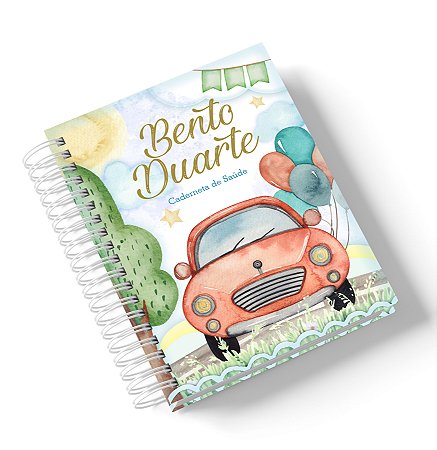 Caderneta de Saúde Carrinho kid (Personalize com o nome)