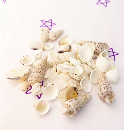 Kit Conchas Fundo do Mar - 40g