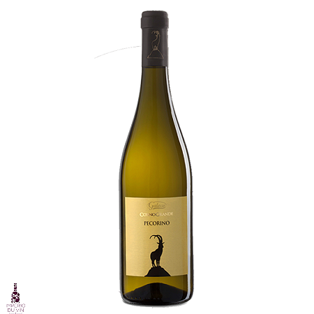 Galasso Pecorino Terre di Chieti