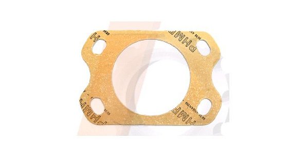Junta da Flange MWM
