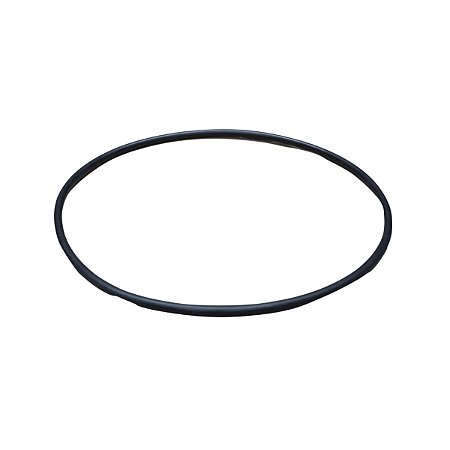 Anel Bomba Injetora Scania 124 330088