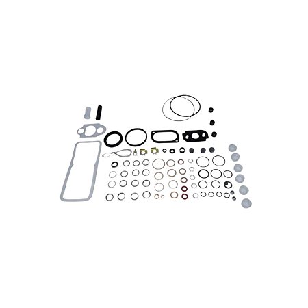 420124, REPARO DELPHI BOMBA DPS PKS 1006-6T / 6W,