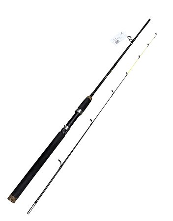 Vara Fishing Soletech 1,65m 81 lb 2 Partes p/ molinete