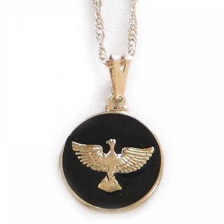 Colar Gargantilha Espírito Santo com Resina 1,5cm - Dourado