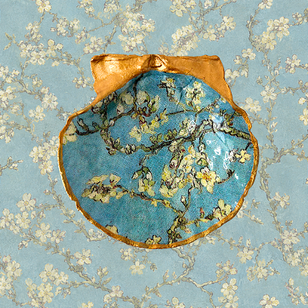 Concha Van Gogh