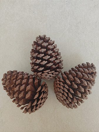 20 Pinhas Naturais