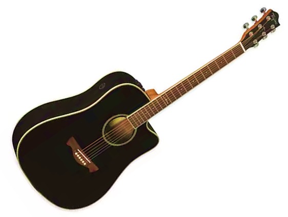 VIOLÃO TAGIMA W20 WALNUT