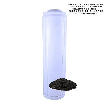 Cápsula Big Blue 20" Carvão Granulado Remoção de Enxofre