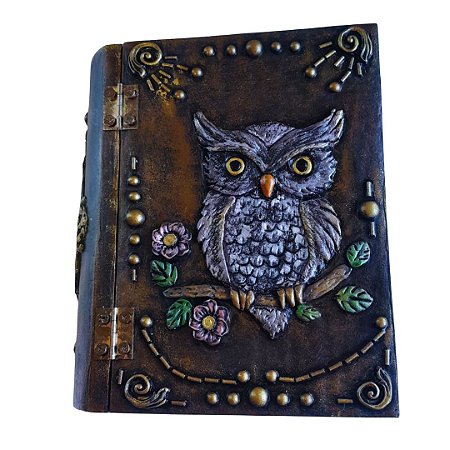 Caixa Livro Littler Book Corujinha