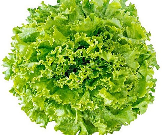 Alface Crespa Orgânica (Unidade)